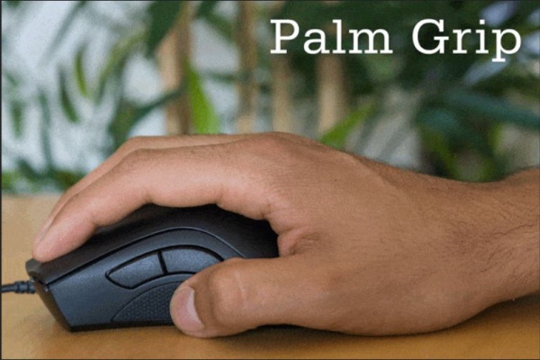 Kiểu cầm chuột Palm grip