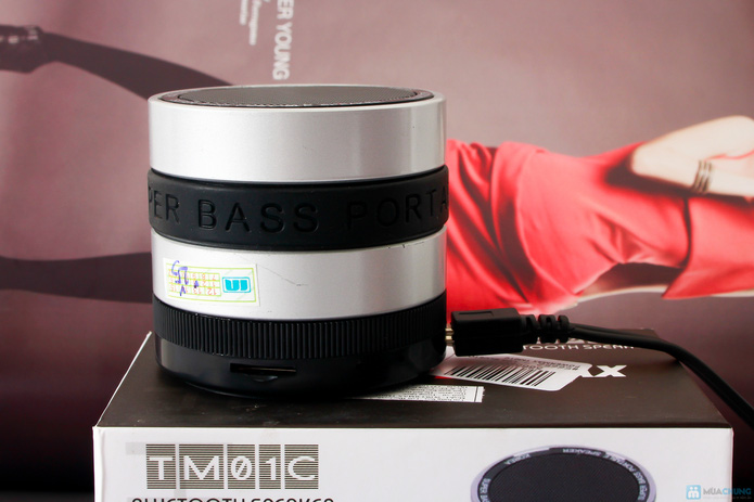 LOA BLUETOOTH POWERMAX TM01C