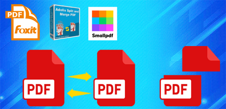 Chia sẻ cách cắt file pdf đơn giản và nhanh chóng nhất