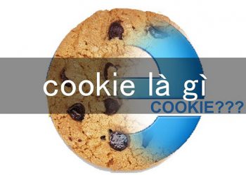 mã cookie là gì