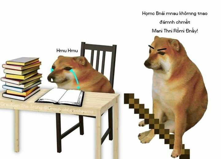 Meme Cheems  Hình Tượng Chú Chó Shiba Được Cả Thế Giới Săn Lùng