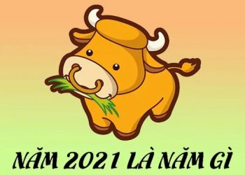 Năm 2021 là năm gì?