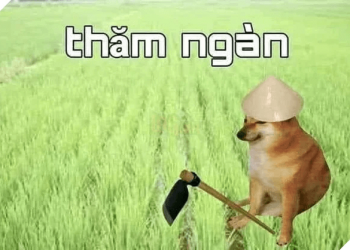 Thăm ngàn là gì?