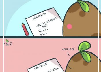 đi đường quyền là gì