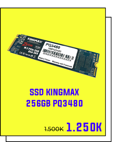 SSD KINGMAX 256GB PQ3480 1