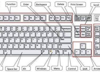Các phím tắt trong word