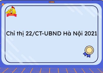 Chỉ thị 22 là gì?