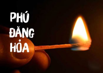 Năm 2024 Mệnh Gì Là Con Gì Tử Vi 12 Con Giáp Năm 2024