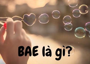 Bae là gì? Ý Nghĩa Của Bae Trong Từng Lĩnh Vực Khác Nhau