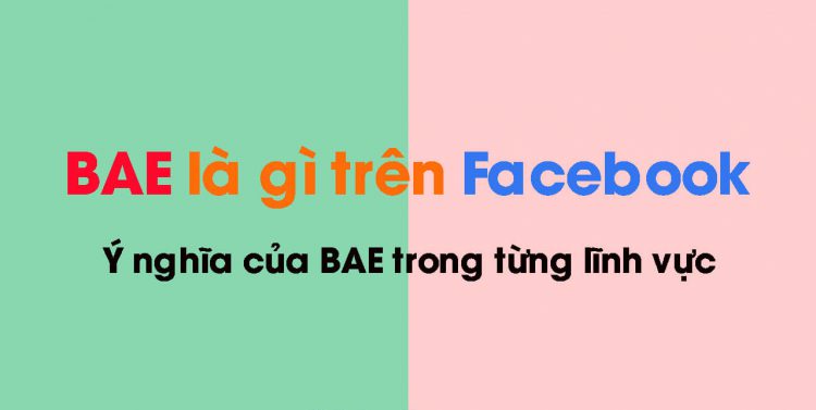 Ý nghĩa của Bae trên từng lĩnh vực