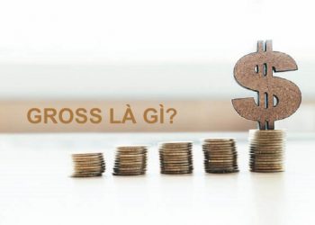 tiền lương gross là gì