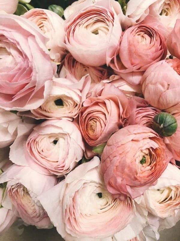 Mới mẻ và đầy sức sống, hình nền hoa hồng vintage sẽ mang đến cho bạn cảm giác như đang ngắm nhìn những chiếc áo dài cổ điển, cùng với những bông hoa hiện đại và tươi trẻ.