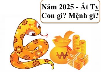 năm 2025 mệnh gì