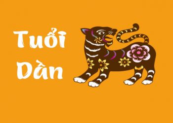 sinh con năm 2022 là con gì