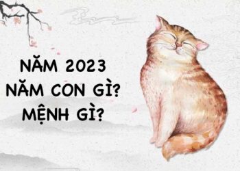 năm 2023 mệnh gì