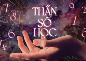 toàn diện về thần số học
