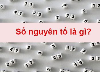 số nguyên tố là gì