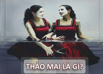 thảo mai ý nghĩa là gì