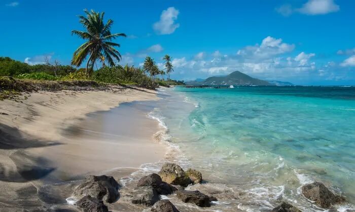 thiên đường thuế St.Kitts Nevis