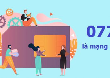 077 là mạng gì