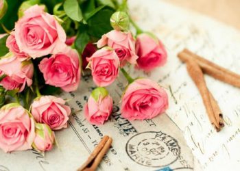 lời chúc 20/11 cho người yêu là cô giáo