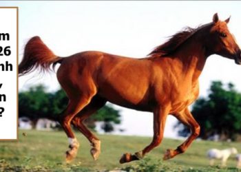 sinh 2026 mệnh gì