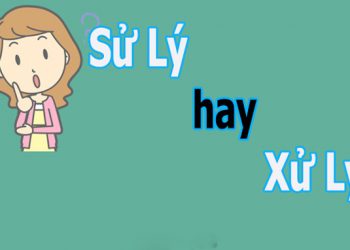 viết xử lý hay sử lý