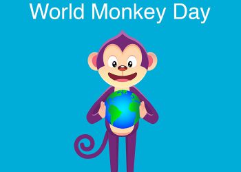 Ngày 14/12 là ngày gì?