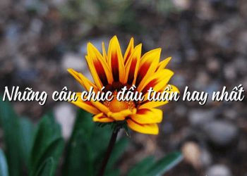 lời chúc đầu tuần