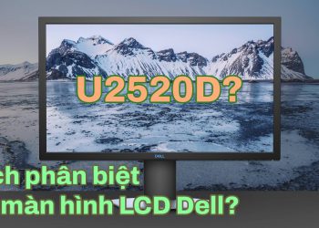 Hình ảnh đại diện màn hình LCD Dell