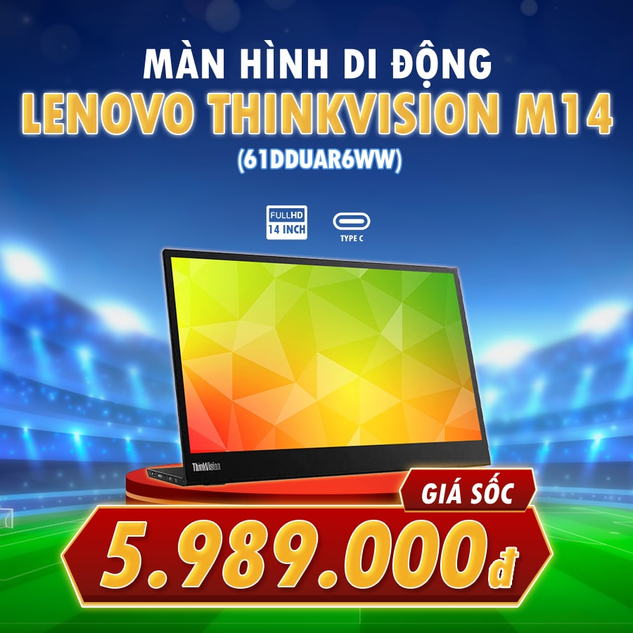 900x900 Lenovo ThinkVision M14 min 1