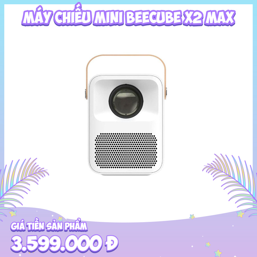 900x900 frame May Chieu Mini Beecube X2