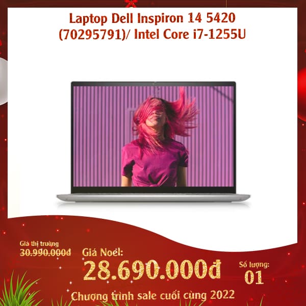 Laptop Dell Inspiron 14 5420