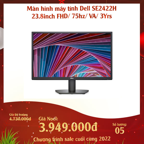 Man hinh may tinh Dell SE2422H