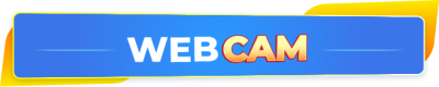 3. Webcam